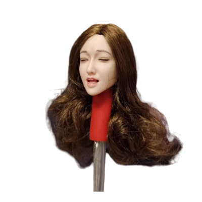 1:6 Head Sculpt Beauty Girl Pain Expression Brown Hair For 12'' Female PH Figure