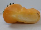 Foto 13 di 13