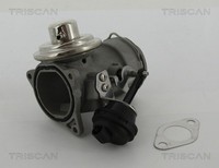 AGR Ventil Triscan 8813 29036 FüR Caddy 5P2 Skoda VW 5P1 2KH 2KA 1Z5 Altea Seat