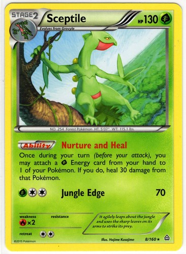 Pokemon Primal Clash Sceptile 8/160