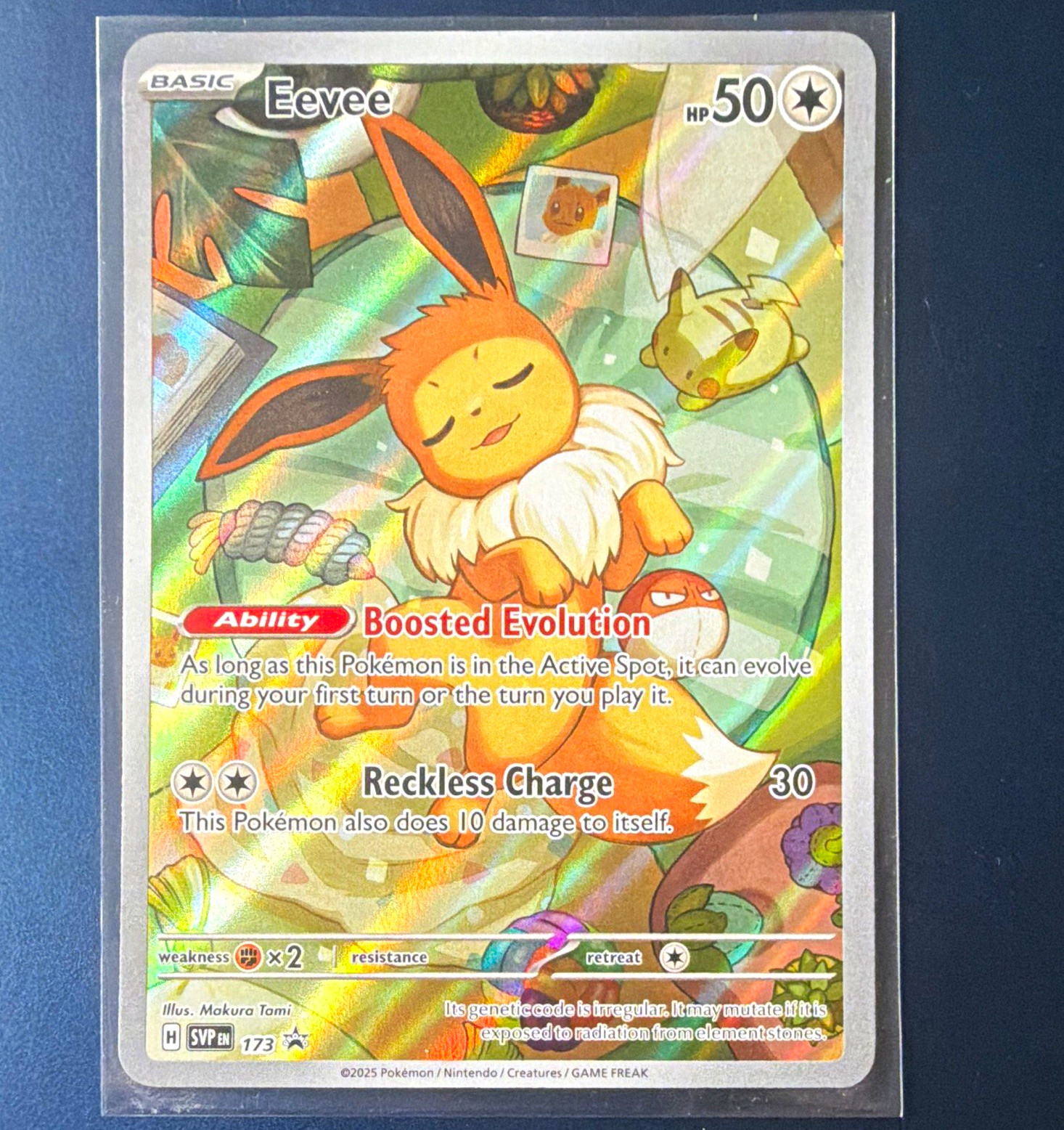 The Pokémon Company Eevee Holo Promo Sv Scarlet & Violet EN 2025 173 Makura Tami