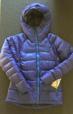 the north face immaculator down parka