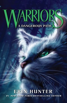 A Dangerous Path | Erin Hunter | Taschenbuch | Kartoniert / Broschiert | 2007