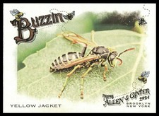 Yellow Jacket Bee 2024 Topps Allen & Ginter #BUZ-13 Buzzin' Insert