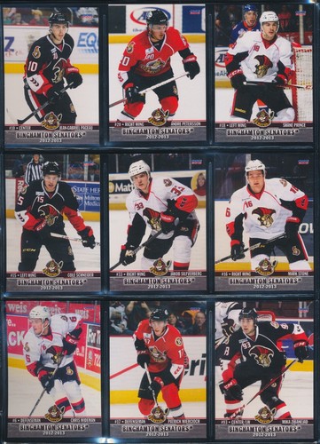 2006-07 to 2015-16 Choice Binghamton Senators AHL Team Set Single Cards - U PICK - Picture 99 of 194