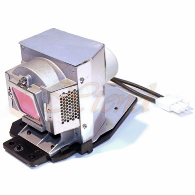 Original bulb inside Projector Lamp Module for VIEWSONIC VS13338