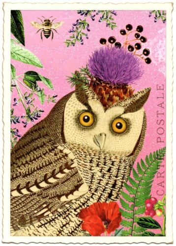 Edition Tausendschön | Postkarte A6 | Flora & Fauna | Motiv wählbar - Bild 49 von 78