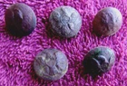 (5) DUG CIVIL WAR EAGLE GENERAL SERVICE CUFF BUTTONS (PORT HUDSON)