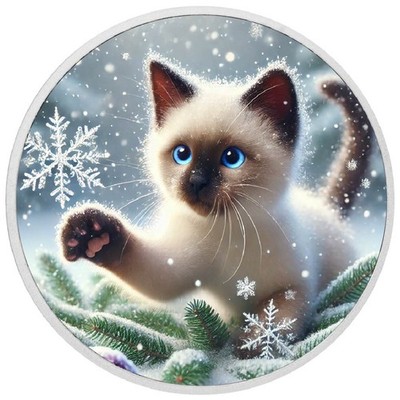   2026 Australia 1oz 9999 Silver BU A Kitten's Frosty Play Colourized
