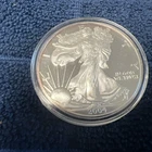 2004 W .999 Silver American Silver Eagle.