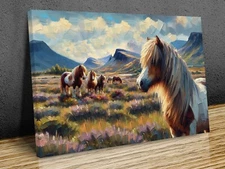 Shetland Ponies modern Art  mounted canvas print art ready to hang