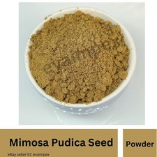 100 Organic Lajwanti Seed Powder Mimosa Pudica Chuimui Lazalu - Seeds Powder