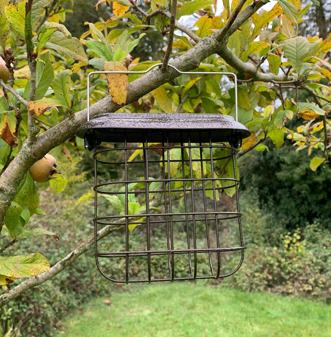 Hanging Suet Block Cake Feeder for Bird Feeding Stations