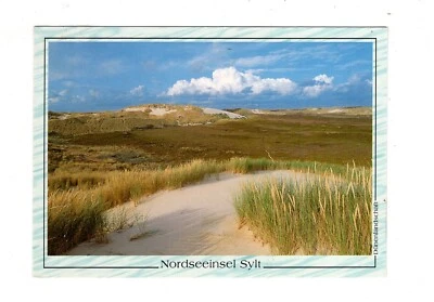 AK Ansichtskarte Nordseeinsel Sylt / Dünenlandschaft - Bild 1 von 2
