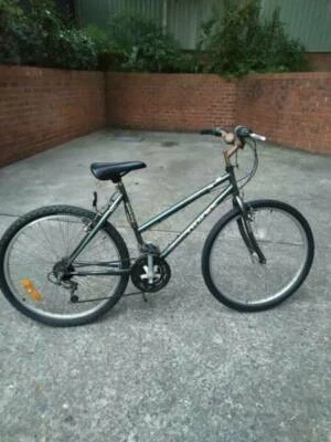 repco vapour mountain bike