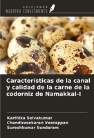 Karthika Selvakumar (U. A.) | CaracteríSticas De La Canal Y Calidad De La...
