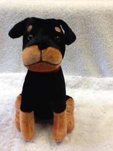 rottweiler puppy collar