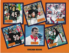 Chicago Bears Team Stat Card 1982 11" x 8.5" Walter Payton Dan Hampton Ditka