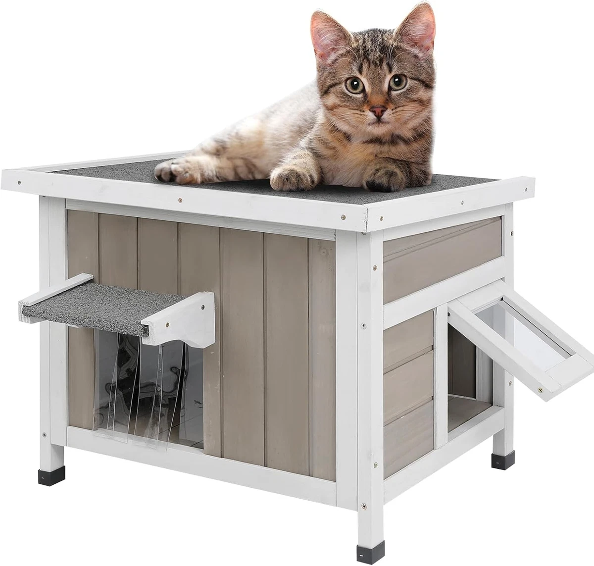 猫咪猫房子| eBay