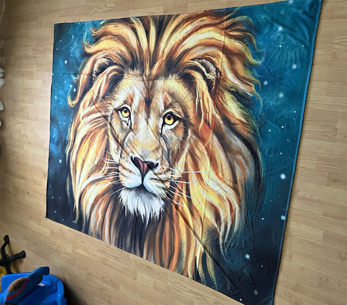 Lion Animal Print Multicolor Decorative Horizontal Wall Tapestry 100% Polyester