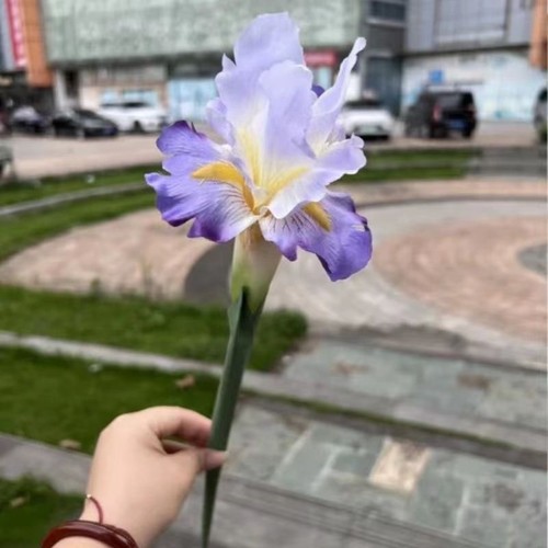 Artificial Iris Flower Simulation Bouquet - Floral Stalk Branch Decorations 1pc - Picture 4 of 21