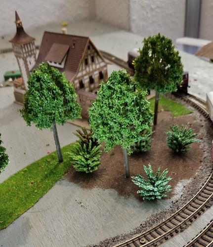 20 Medium Green Deciduous Trees, 95 mm, 9.5 cm High - Picture 21 of 22
