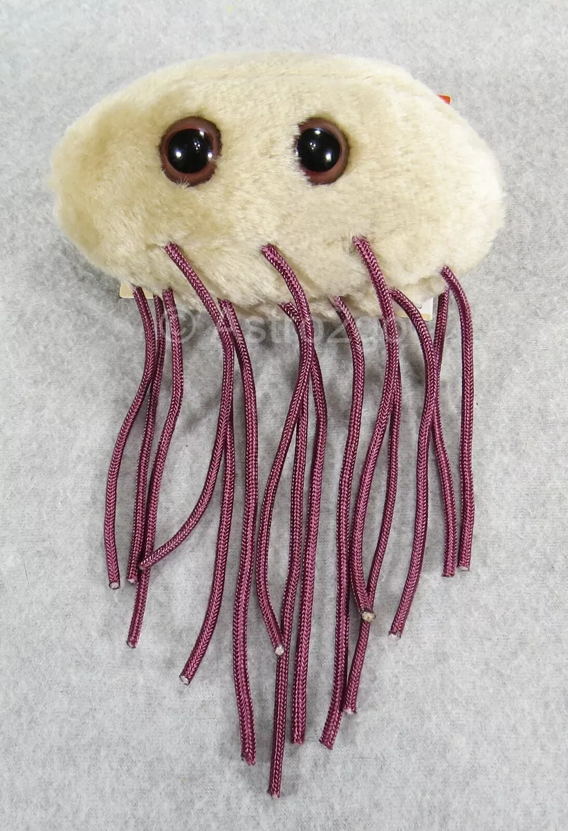 E coli best sale toy