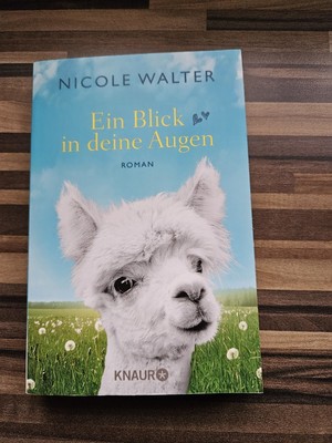 Ein Blick in deine Augen von Nicole Walter (2020, Taschenbuch)