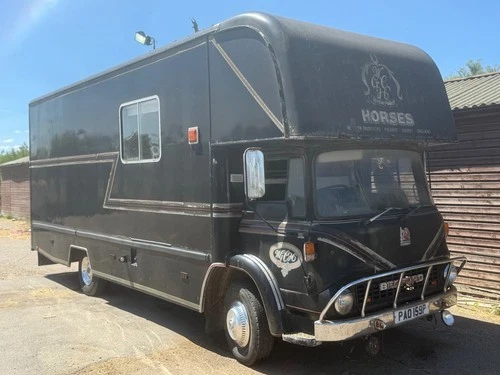 1976 Bedford TK  Coach built Horsebox Vintage Classic - Picture 2 of 18