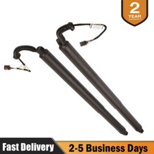 2Pcs Rear LH RH Power Lift Gate Cylinder Struts For 2015-2019 Nissan Murano 3.5L