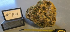 6.5" Medium Pumice Stone Floating Natural Rock Carnivorous Succulent Garden #744