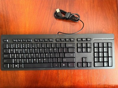 2 X HP 125 TPA-P001K WIRED KEYBOARD