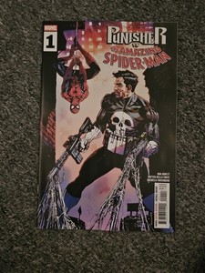 Punisher Spider Man | eBay