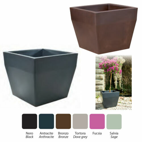 Teraplast Vaso Porta Orchidee Trasparente Con Supporto E Piattino – Diametro 14 Cm, Set Completo