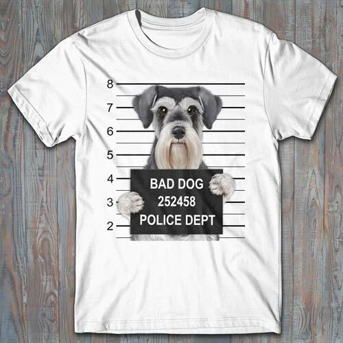 Miniature top schnauzer accessories