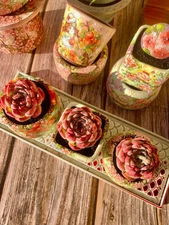 Rare Echeveria chihuahuaensis Live Succulent | Bare Root | Indoor Gift & Decor