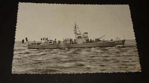LOCTUDY - SCHOOL OF DUSTY MOUSSES - HUNTER 104 - POSTCARD