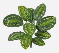 Artplants KüNstliche Calathea Medaillon Fleuretta, Steckstab, GrüN-Gelb, 50Cm