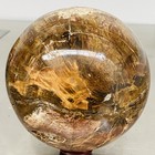 Natural Petrified Wood Polished Stone Quartz Crystal Sphere Ball Healing 2500G — photo 5