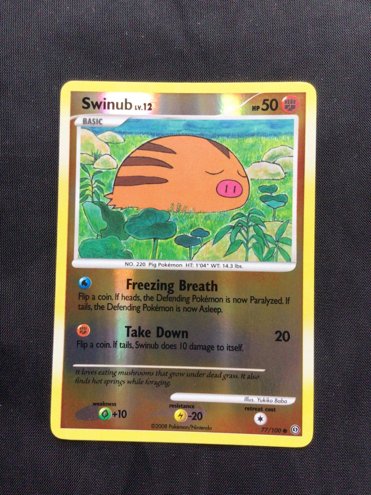 Pokemon Cards: Stormfront Reverse Holo: Swinub 77/100