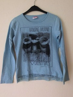 T Shirt für Mädchen langärmlig Gr. 158/164 blau 3 Vögel