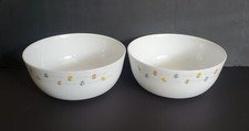 Set of 2 The Tableware Taejinglass Tempered Glass Bowls 7.5"