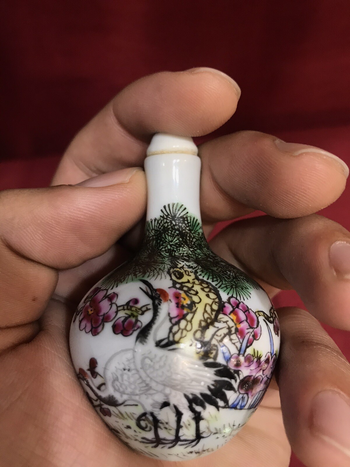 Picture 6 of 10