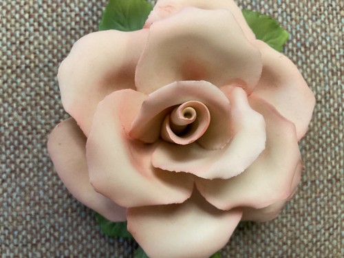 Große Rose Biskuitblume mit Doppelstiel - Bild 7 von 8