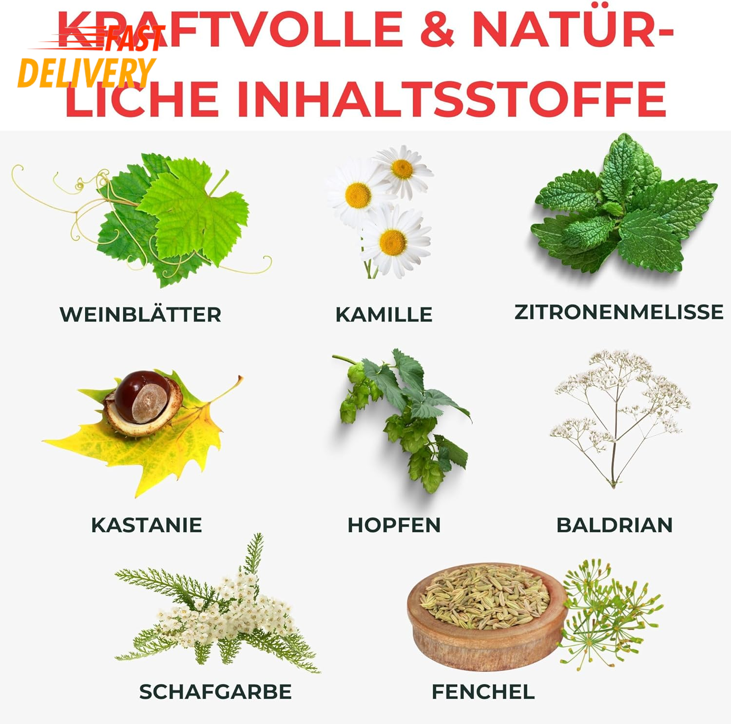 Bild 4 von 12