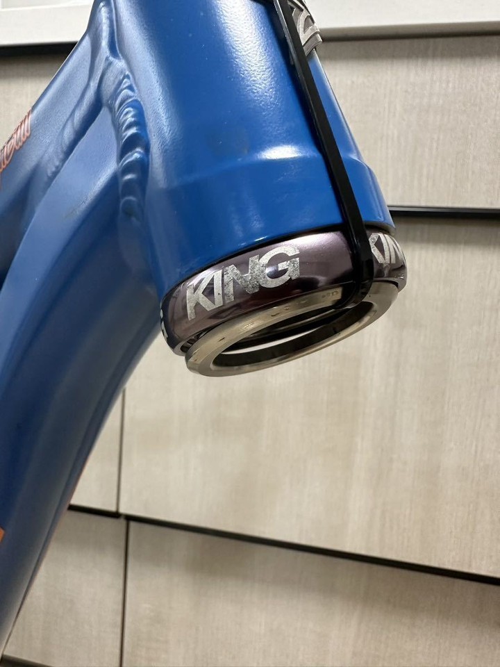 Santa Cruz Highball 29 Aluminum Mountain Bike Frame 17.5" Chris King