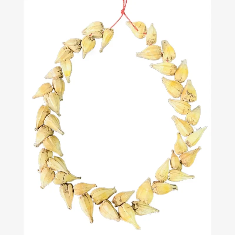 OTC ULA FALA Collar Tribu Familia Ulafala Collar Reinos Romanos Jefe Tribal Sa Foto 3 de 4