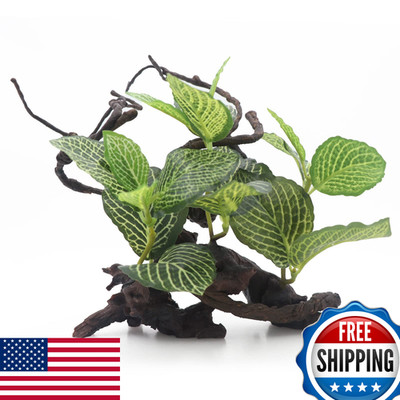Aqua Kt Reptile Terrarium Forest Tree Plant Leaves For Amphibian Habitat Dcor
