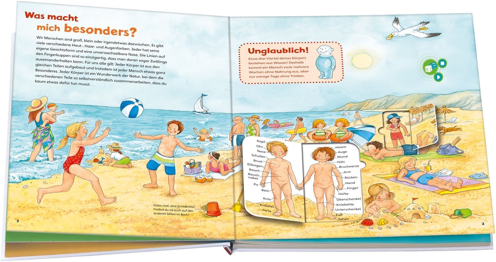 Thumbnail - Was Ist Was Junior: Entdecke Den Körper | Sandra Noa (u. A.) | Buch |