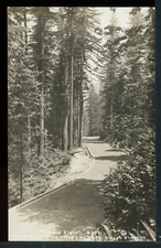 RPPC "Figure Eight" Columbia River Hwy OR Vintage Postcard Cross & Dimmit M1592a